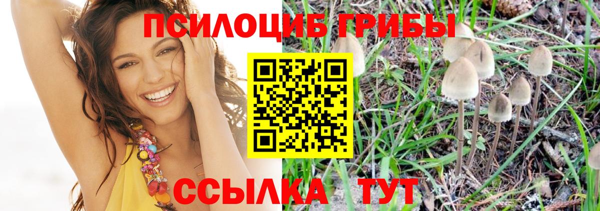 Южно-Сахалинск  Псилоцибиновые грибы Magic Shrooms  Вход с VPN 